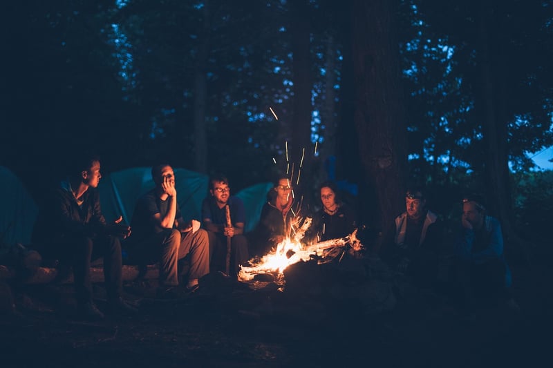 Campfire in the wilderness